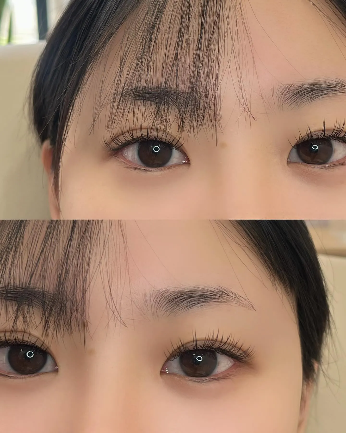 フラットラッシュ 100本