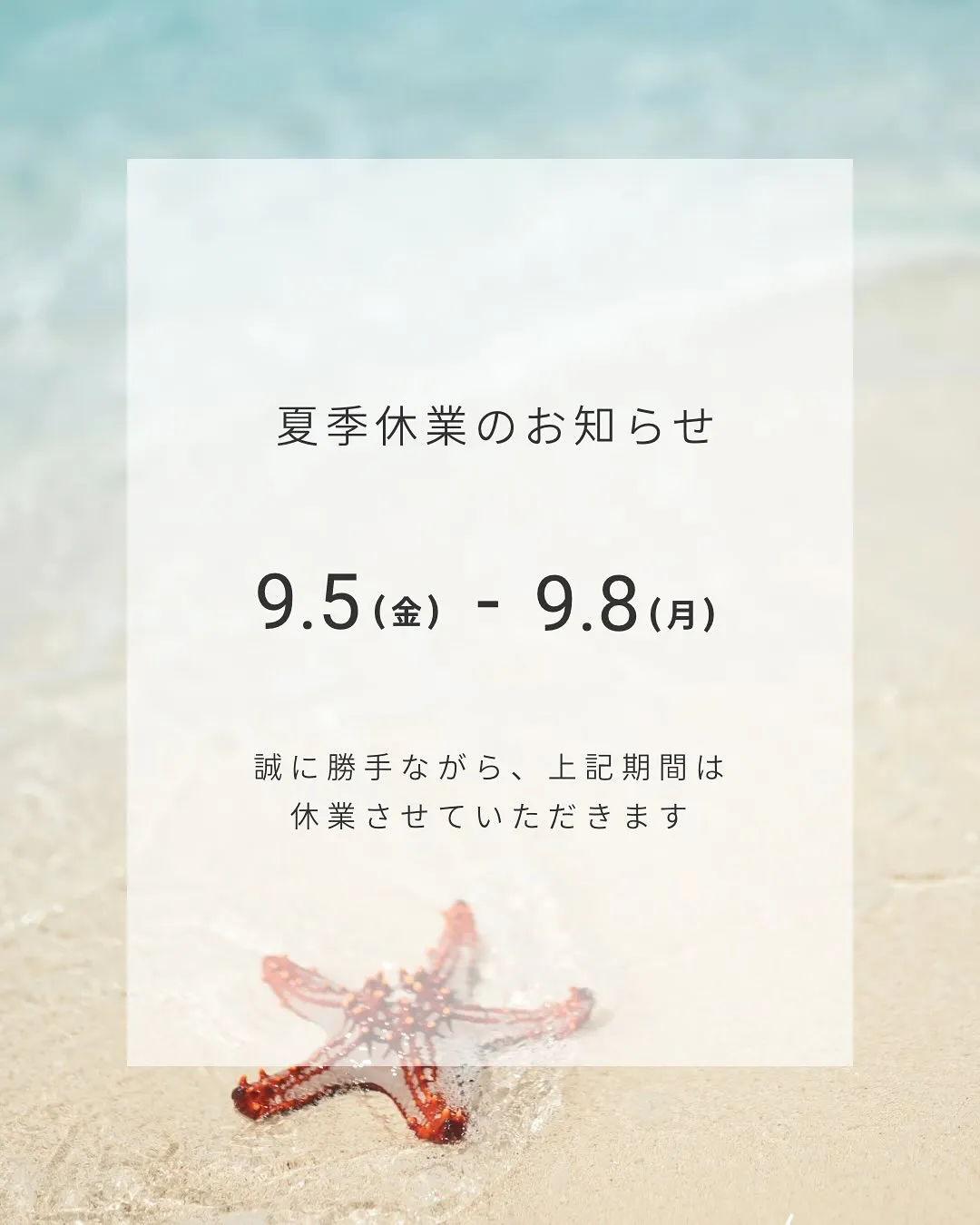 お知らせ📢✨